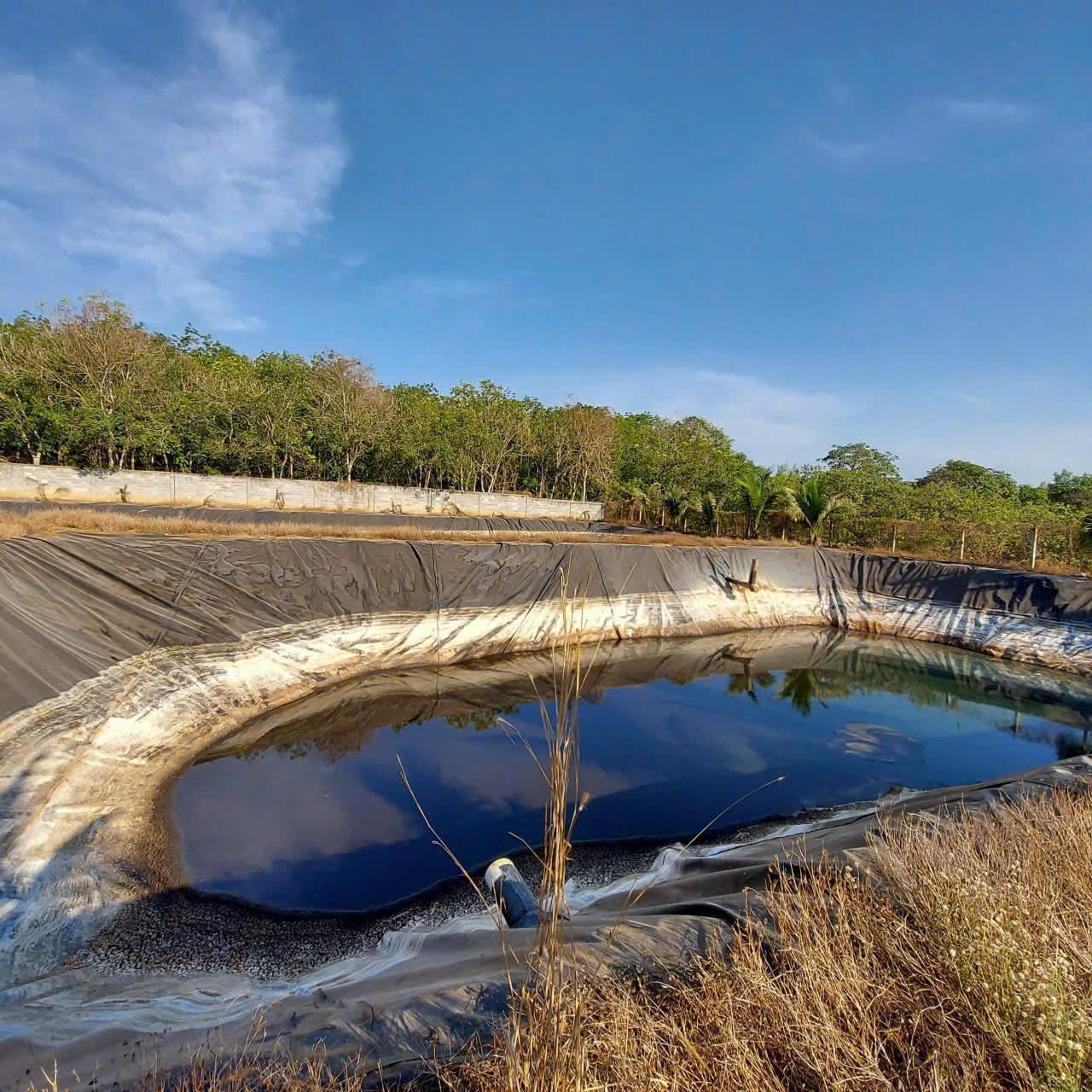 Tư vấn môi trường