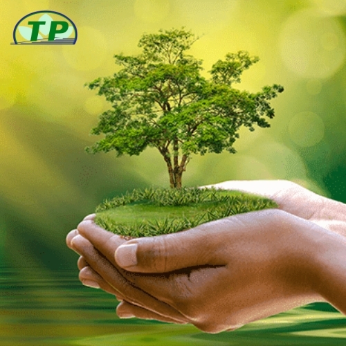 Chi phí lập hồ sơ môi trường tại Đồng Nai