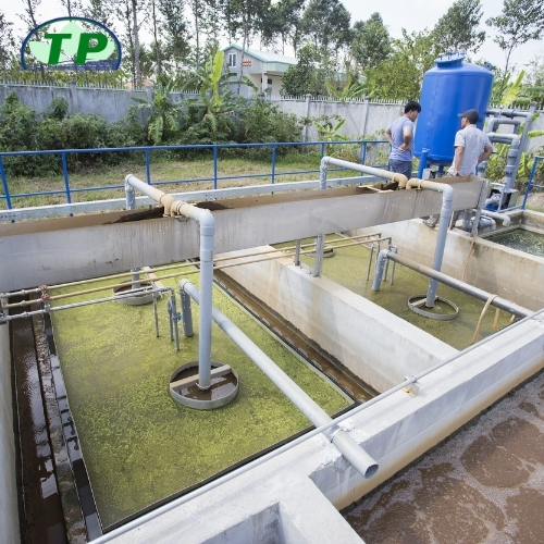 Xử lý nước thải sinh hoạt