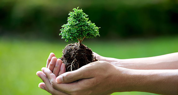 CÁC CÂU HỎI THƯỜNG GẶP